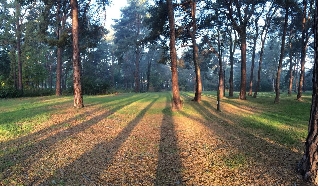 Sopot 34 Przy Plazy Villa Dış mekan fotoğraf