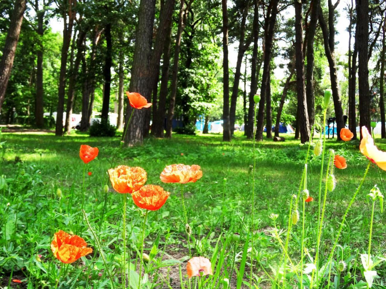 Sopot 34 Przy Plazy Villa Dış mekan fotoğraf